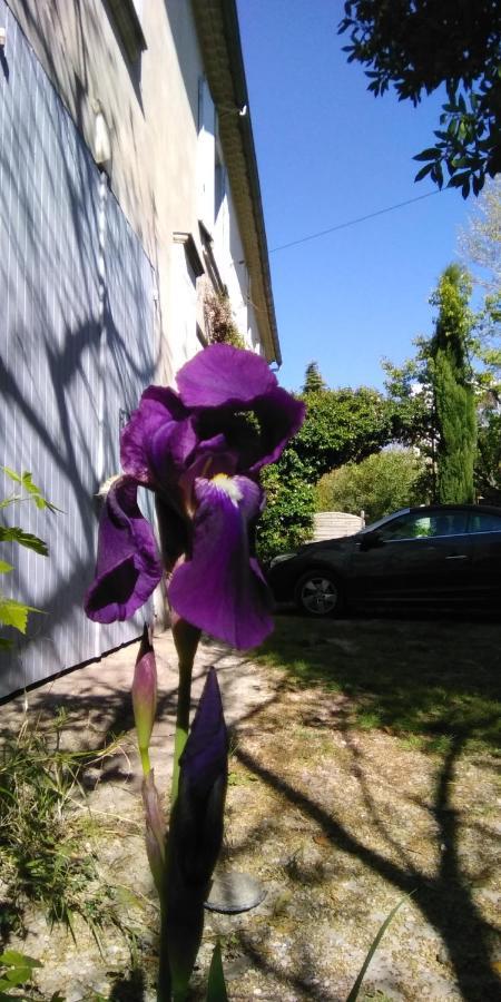 Le Mas Des Dames Appartement Avignon Luaran gambar