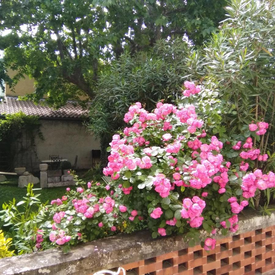 Le Mas Des Dames Appartement Avignon Luaran gambar
